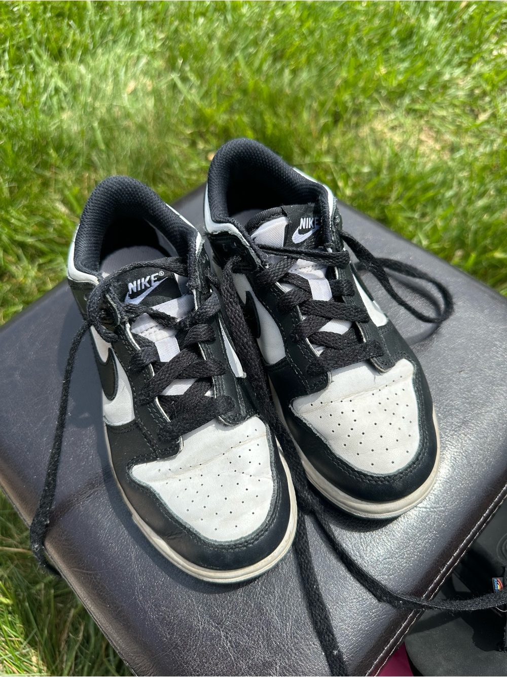 Nike dunks Black and White Low-Top pandas